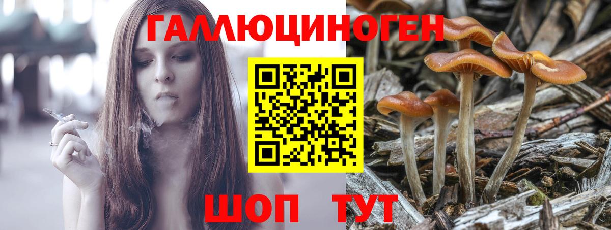 Галлюциногенные грибы мухоморы  Вход с VPN  Саратов 