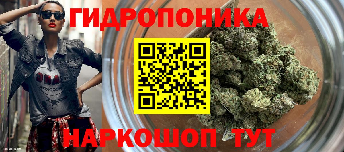 Бошки марихуана OG Kush Саратов